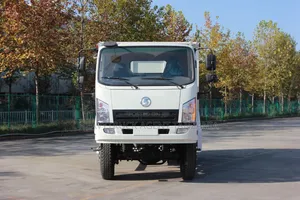 Shacman X3000 Tipper (Mpya Kabisa)