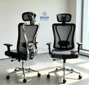 High Quality Ergonomic Office Chair with Lumbar Support