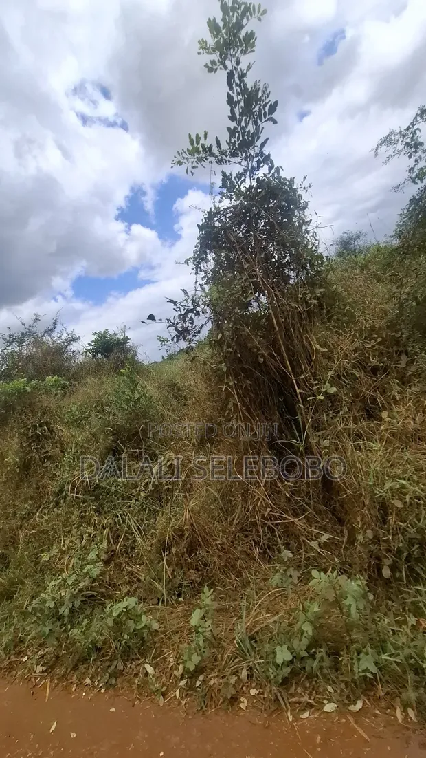 9.94 Hectare Gold Mining License for Sale in Bahi, Dodoma - 1
