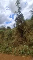 9.94 Hectare Gold Mining License for Sale in Bahi, Dodoma - 1