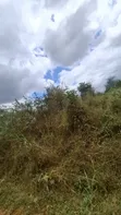 9.94 Hectare Gold Mining License for Sale in Bahi, Dodoma - 2