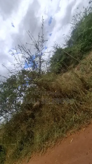 9.94 Hectare Gold Mining License for Sale in Bahi, Dodoma