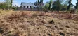 600 SQM Plot for Sale at Madale Kwa Kawawa - 2