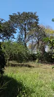 Large Plot for Business or Residential in Sakina - 1