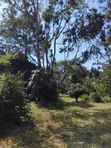 Large Plot for Business or Residential in Sakina - 2