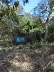 Large Plot for Business or Residential in Sakina - 4