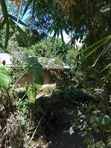 Large Plot for Business or Residential in Sakina - 5