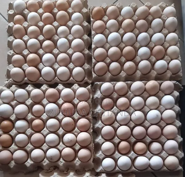 Local Chicken Eggs - 1
