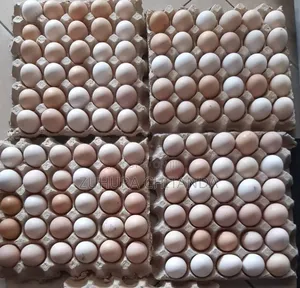 Local Chicken Eggs