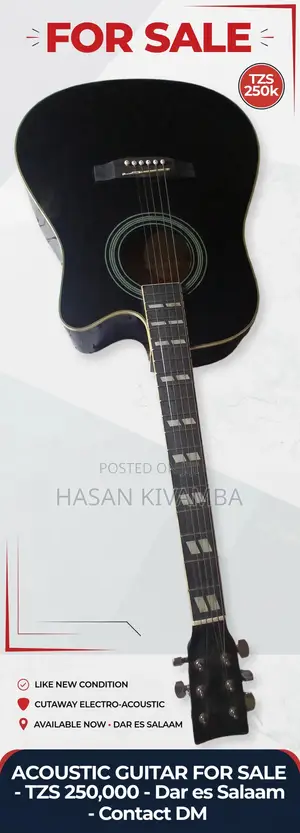 Acoustic-Electric Guitar
