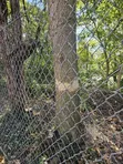 Mr Fence: Fencing Services for Homes and Industries - 5