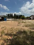 Eneo la Kupanga Linauzwa Mbezi Beach, Jangwani Beach Rd - 4