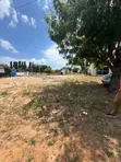 Eneo la Kupanga Linauzwa Mbezi Beach, Jangwani Beach Rd - 5
