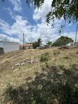 Eneo la Biashara Linauzwa, Sala Sala Mwisho Wa Lami - 1