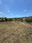Eneo la Biashara Linauzwa, Sala Sala Mwisho Wa Lami - 2