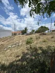 Eneo la Biashara Linauzwa, Sala Sala Mwisho Wa Lami - 5