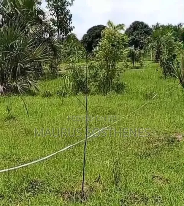 Residential Plot for Sale in Mapinga Kiharaka, Dar es Salaam - 1