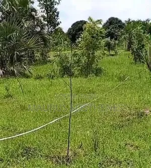 Residential Plot for Sale in Mapinga Kiharaka, Dar es Salaam