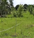 Residential Plot for Sale in Mapinga Kiharaka, Dar es Salaam - 1