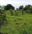 Residential Plot for Sale in Mapinga Kiharaka, Dar es Salaam - 2