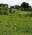 Residential Plot for Sale in Mapinga Kiharaka, Dar es Salaam - 3