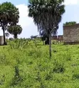 Residential Plot for Sale in Mapinga Kiharaka, Dar es Salaam - 4