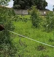 Residential Plot for Sale in Mapinga Kiharaka, Dar es Salaam - 5