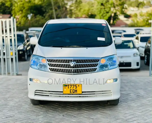 Toyota Alphard 2004 Pearl - 1