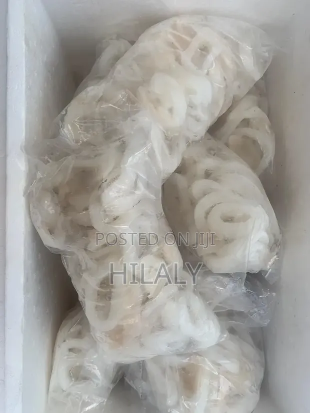 Ngisi wa Rangi (Calamari) - Jumla na Rejareja - 1