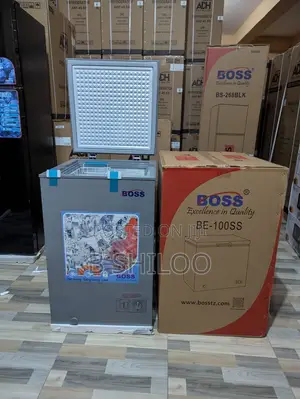 Boss 100 Litre Freezer - Silver