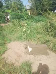 Land Plot 20x20m for Sale - TZS 13M - 2