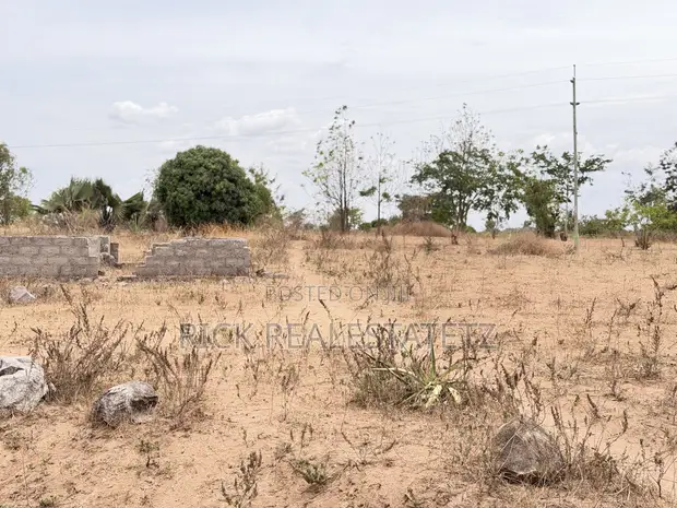 Farmland for Sale, Kigongo Ferry - 1