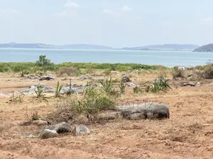 Land Plot for Sale, Kigongo Ferry, First Row from Lake