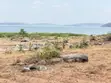 Land Plot for Sale, Kigongo Ferry, First Row from Lake - 2