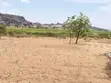 Land Plot for Sale, Kigongo Ferry, First Row from Lake - 3