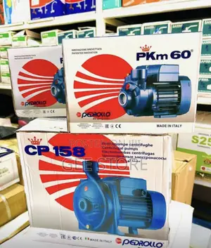 Pedrollo PKm 60 Peripheral Water Pump