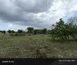 Eneo la Eka 3 kwa Ajili ya Kuuzwa Fukayosi, Bagamoyo - 1