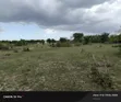 Eneo la Eka 3 kwa Ajili ya Kuuzwa Fukayosi, Bagamoyo - 4