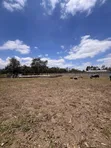 4108 SQM Titled Plot in Burka for Sale - 1