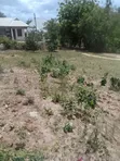 Residential Plot for Sale - Salasala, 430 sqm - 2
