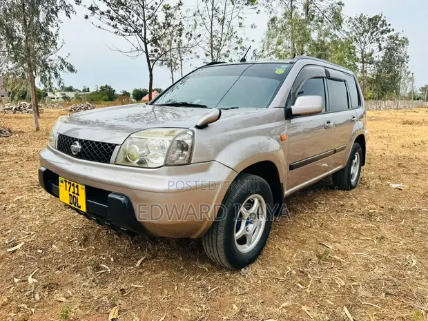 Nissan X-Trail 2005 Gray - 1