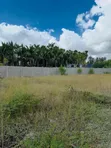 Beach Plot for Sale - 1000 sqm at Mbezi Beach, Dar es Salaam - 4