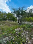 Beach Plot for Sale - 1000 sqm at Mbezi Beach, Dar es Salaam - 5