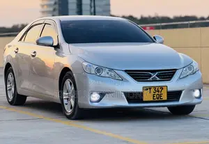 Toyota Mark X 2010 Nyeupe