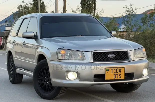 Subaru Forester Crossport 2004 Silver - 1
