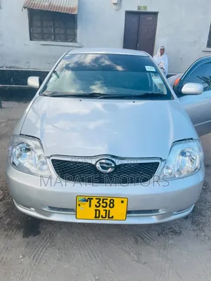 Toyota Allex 2005 Nyeupe