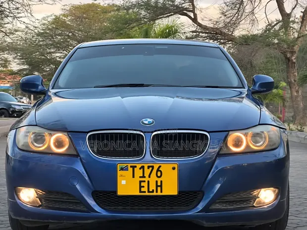 BMW 3 Series 2010 Blue - 1
