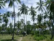 Eneo la Beach la Eka 17 Linauzwa, Kitame Bagamoyo Road - 2