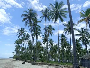 Eneo la Beach la Eka 17 Linauzwa, Kitame Bagamoyo Road