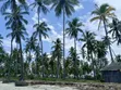 Eneo la Beach la Eka 17 Linauzwa, Kitame Bagamoyo Road - 5